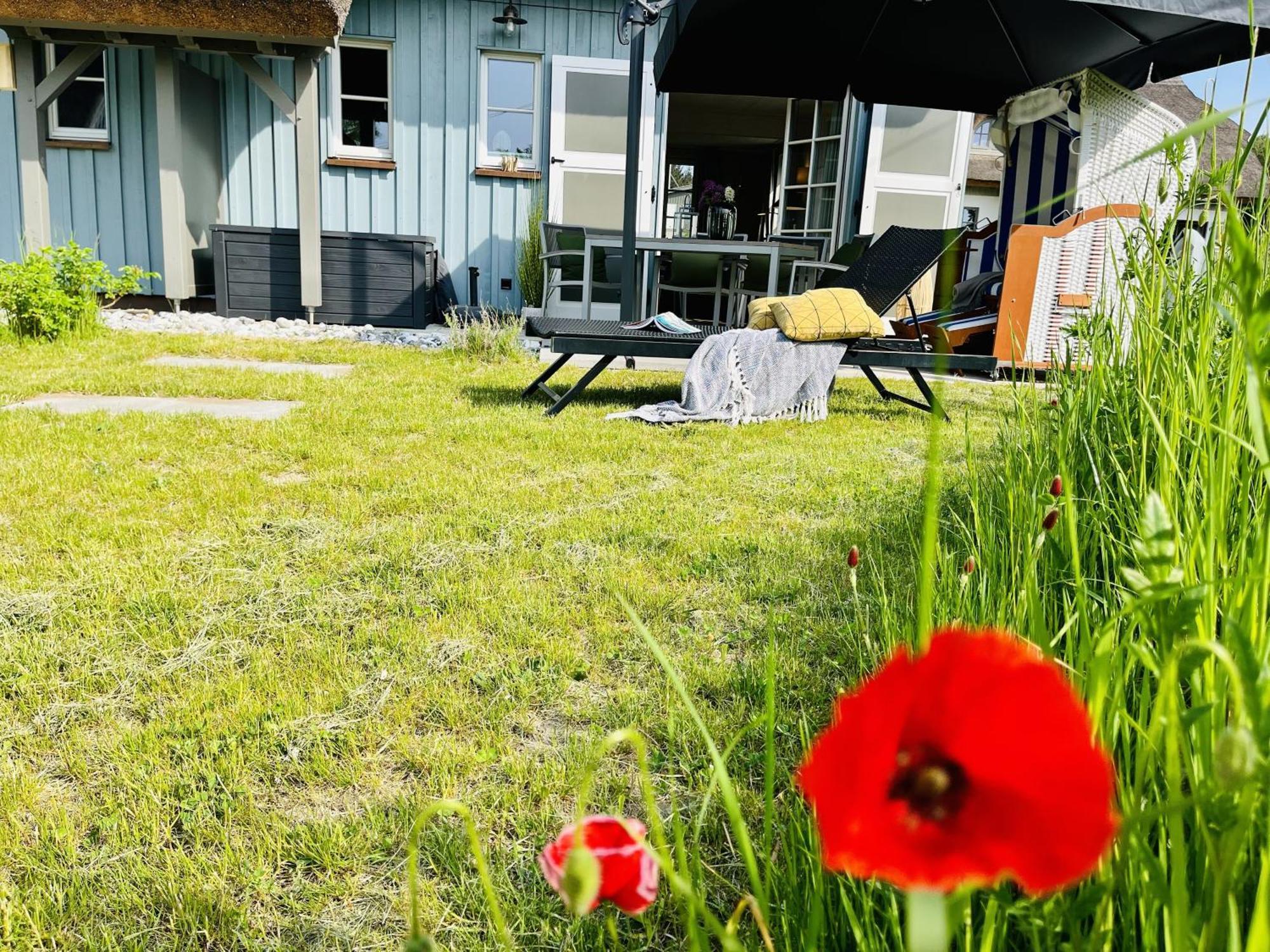 Ferienhaus Strandflieder 05 Feriendorf Klein Stresow Ruegen By Ruyastay Putbus Εξωτερικό φωτογραφία