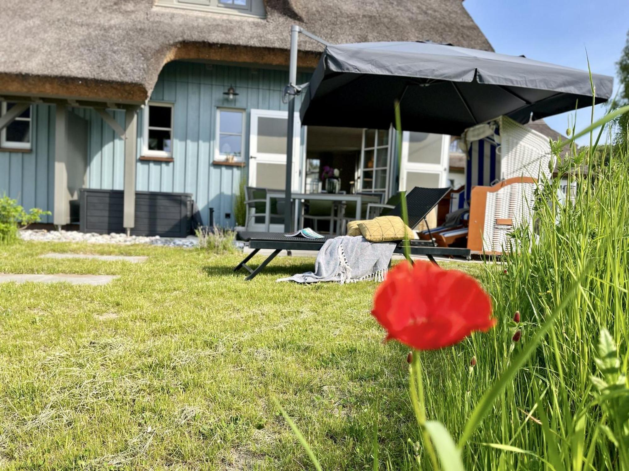 Ferienhaus Strandflieder 05 Feriendorf Klein Stresow Ruegen By Ruyastay Putbus Εξωτερικό φωτογραφία